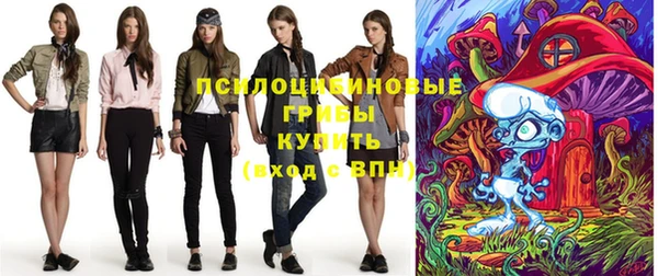 ECSTASY Дмитриев