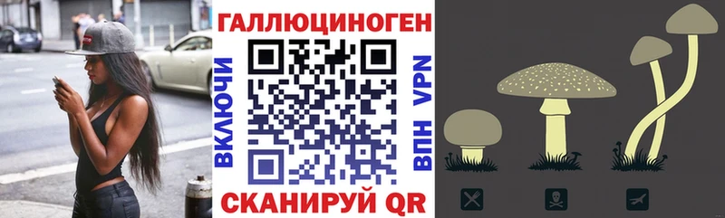 Купить где Новоаннинский Галлюциногенные грибы Psilocybe